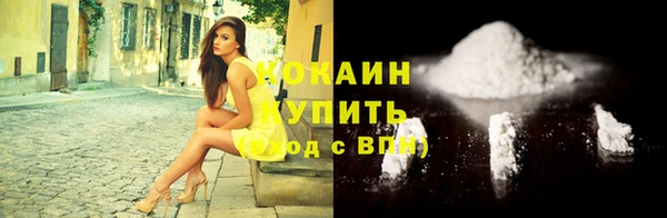соль ск Волосово