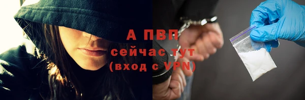 соль ск Волосово