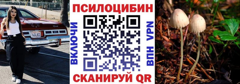 Купить закладки  Рудня  Галлюциногенные грибы Magic Shrooms 